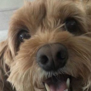 Meet your Posher, Ms